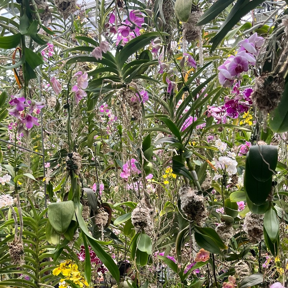 Meet your Posher, Kalei